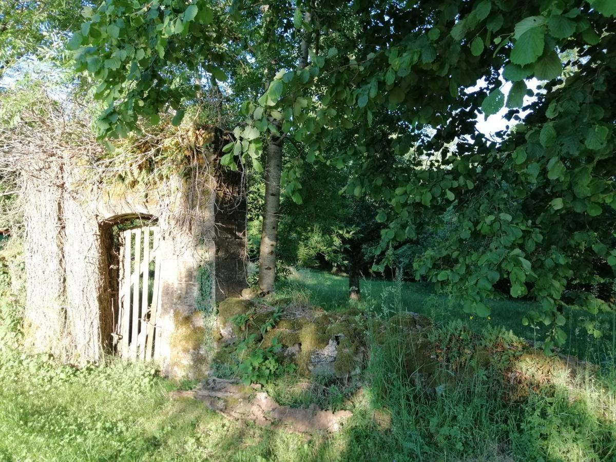 Saint-Illide Le Miraillet, Gite מראה חיצוני תמונה