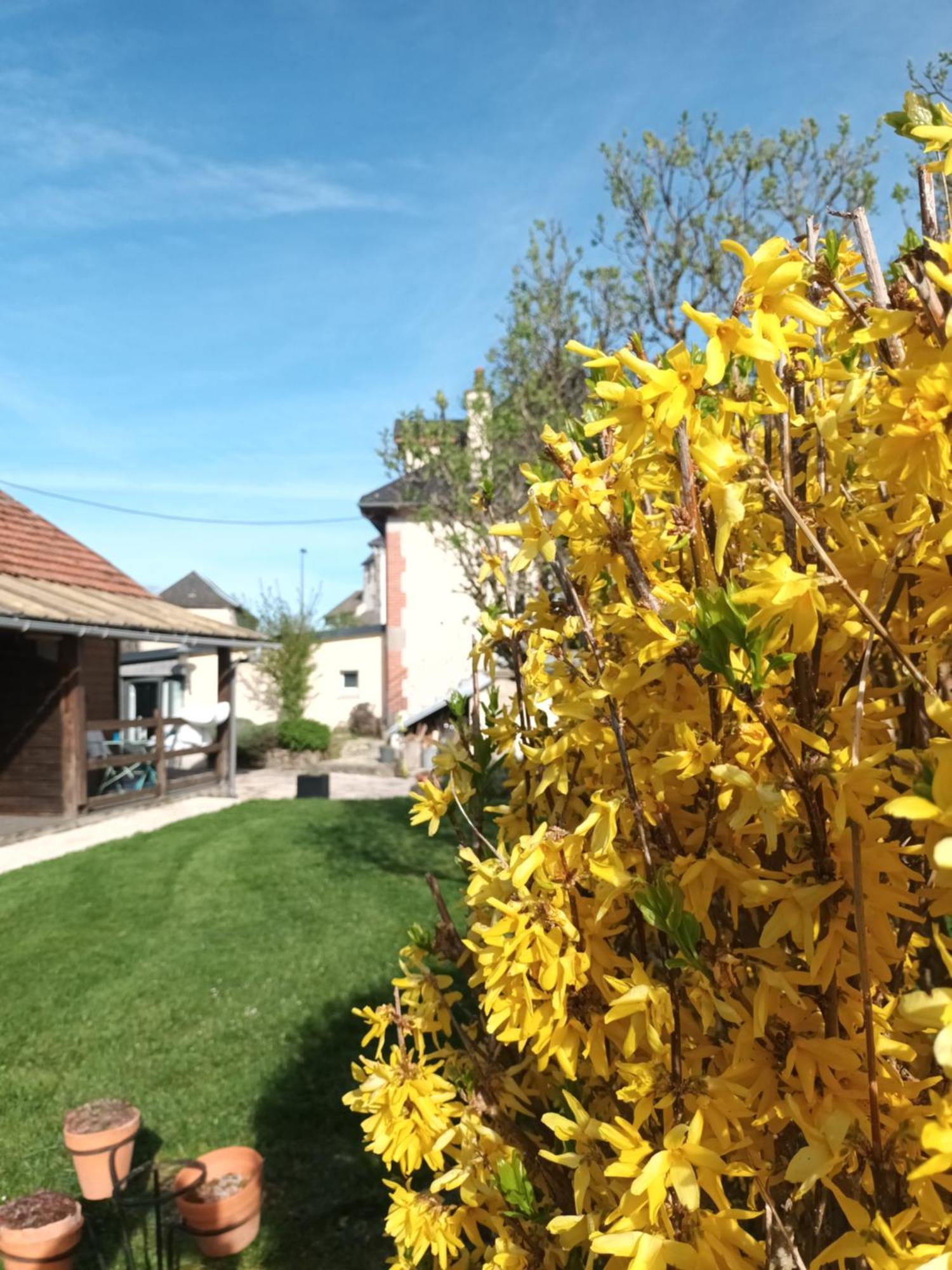 Saint-Illide Le Miraillet, Gite מראה חיצוני תמונה